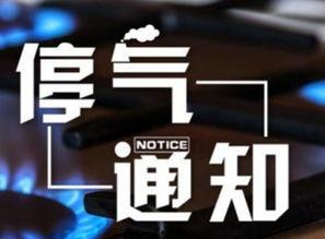 合肥新闻爆料消息视频,视频揭露惊人内幕，事件详情即将揭晓